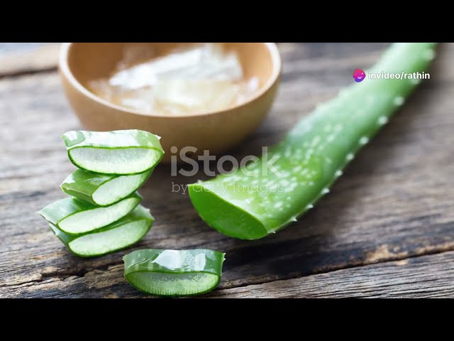 Benefits of aloevera in winter season.