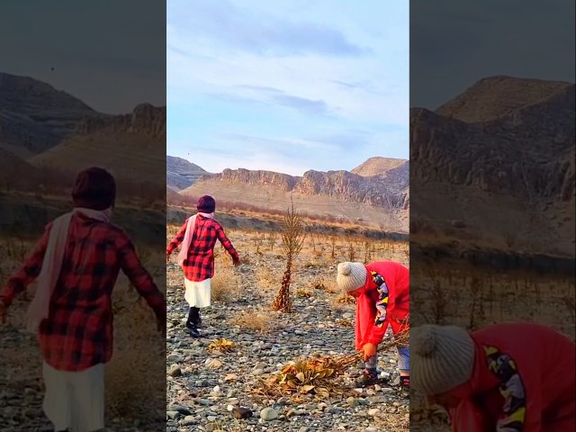 Daily Rural family Life: Traditional Cooking in Daily Rural Life in Iran #shorts #ruralnomadiclife