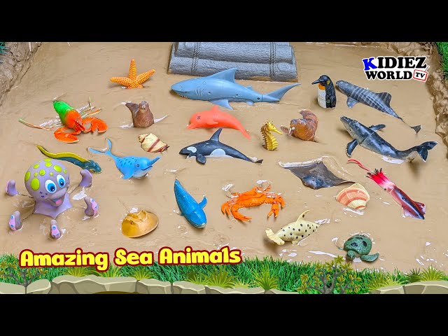 🐠Amazing Sea Animals for Kids | Whale, Seahorse, Shark & More Fun Learning Adventure 🌊