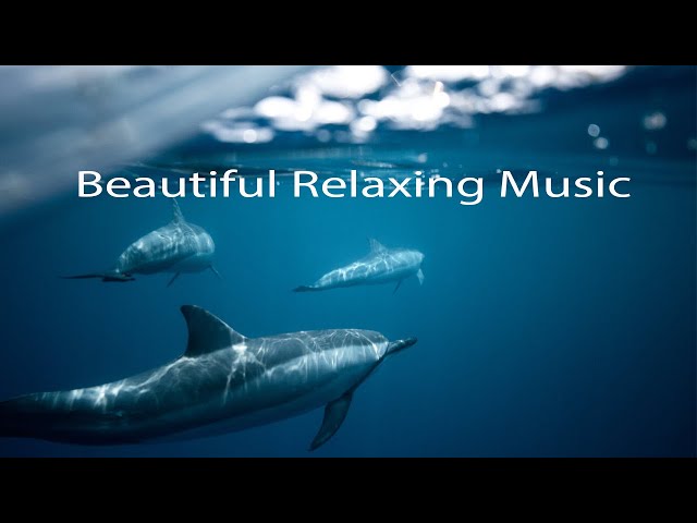 Beautiful Relaxing Music, Peaceful Soothing Instrumental Music, "Serene Mountain Meadow"