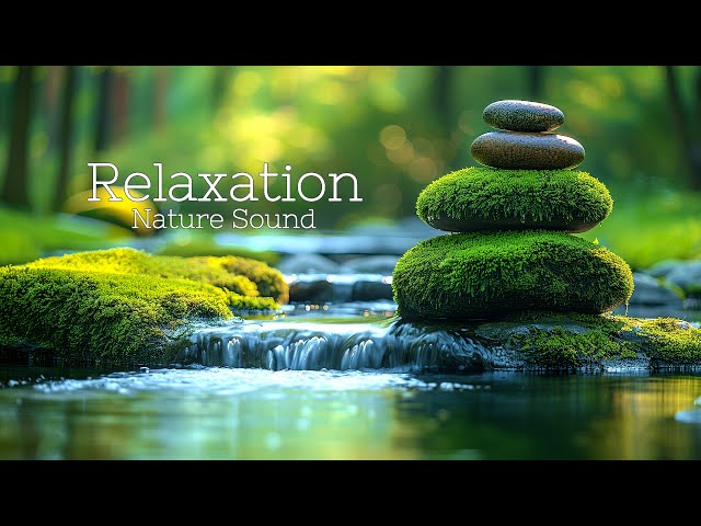 Relaxing Music for Stress Relief 🌿 Healing Anxiety and Depression • Sounds of Nature