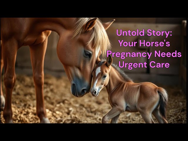 Your Horse's Pregnancy Needs Urgent Care