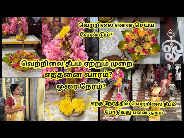 ✨ வெற்றிலை தீப வழிபாடு நினைத்ததை நடக்க வைக்கும்✨வழிபடும் முறை🦚அபிஷேகம் செய்யணுமா?#vetrilaideepam