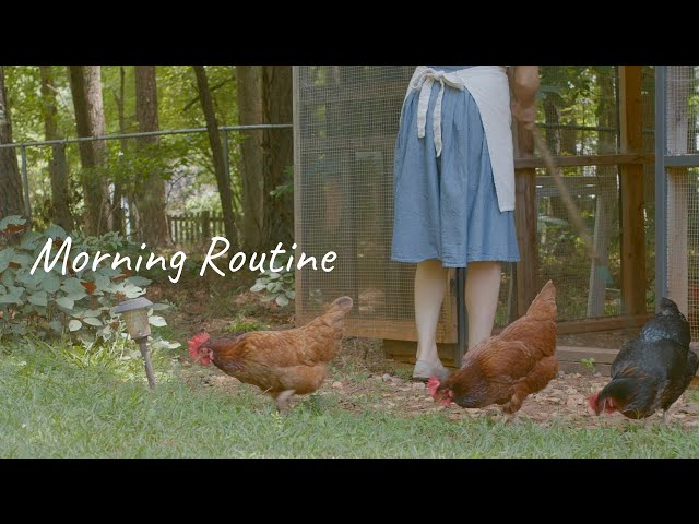 Morning routine with cats|Japanese vlog｜Cat and Backyard chickens |Ghibli &Food Animation inspired