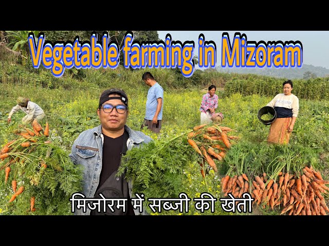 Vegetable farming in Mizoram || मिजोरम में सब्जी की खेती || Nunsury, Lunglei (Northeast)