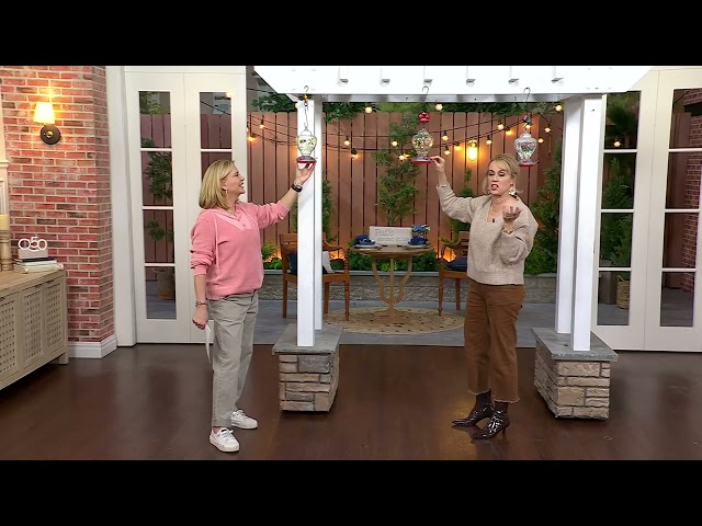 Temp-tations Outdoors Garden Critter Hummingbird Feeder on QVC