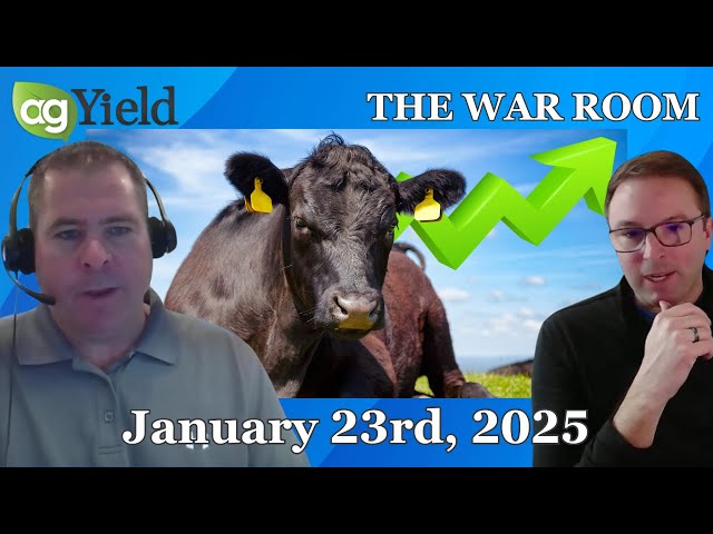 Ethanol frustrations bubble up, cattle hits all-time record highs! | War Room: January 23rd, 2025