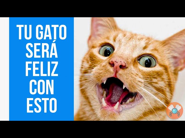 🎁 7 Regalos Que TU GATO AMARÁ | Los Mejores Gadgets 😻