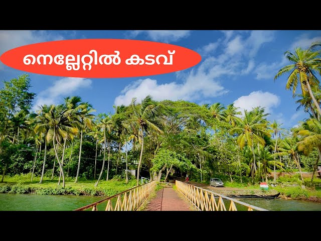 നാട്ടിലെ കാഴ്ചകൾ | Vlog 43 | TripGalleriA