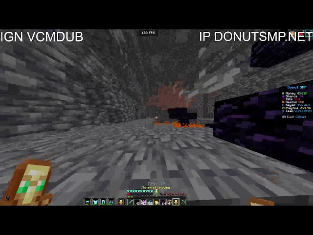 🔴RATING BASES AND DOING FFA ON DONUT SMP🔴