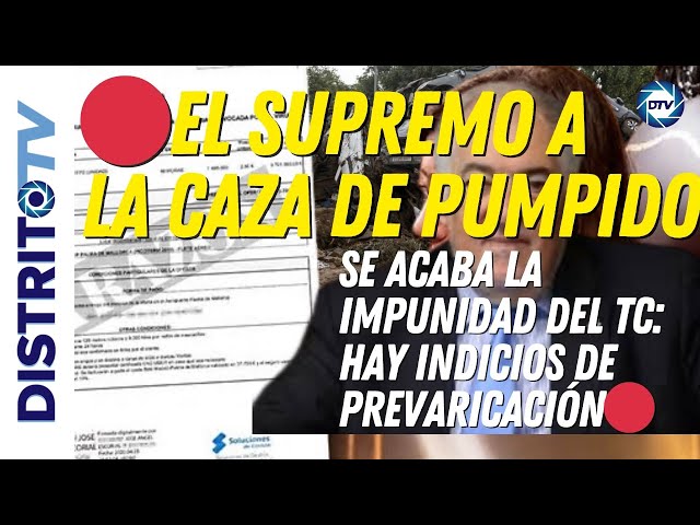 🔴EL SUPREMO A LA CAZA DE CONDE PUMPIDO, SE ACABA LA IMPUNIDAD DEL TC: HAY INDICIOS DE PREVARICACIÓN🔴