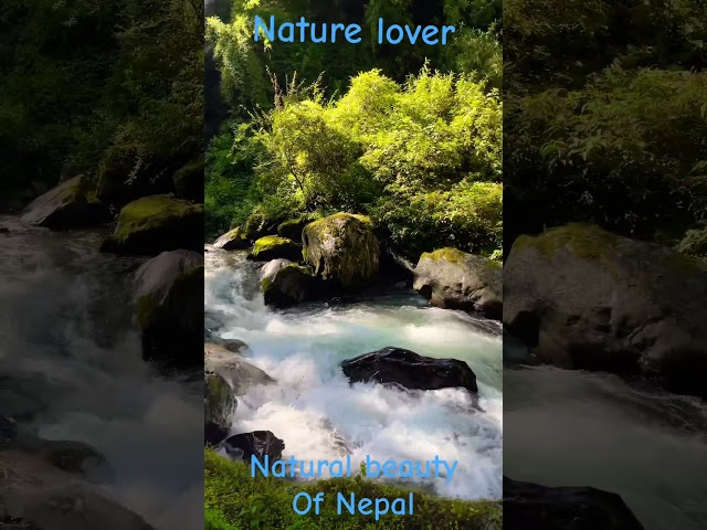 Natural beauty on the way to Gosainkunda #shorts #viralvideo #trending #nature #travel #nepal