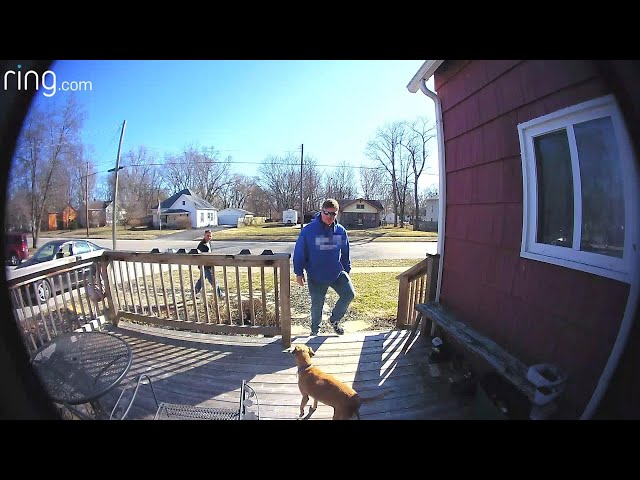 Dog Escapes & Son Sends Funny Messages to Mom  | Neighborhood Stories