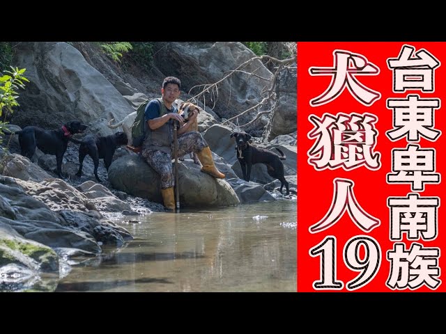 原住民狩獵!溪谷犬獵極度痛苦|台東卑南犬獵人全紀錄19集|厭世奶爸