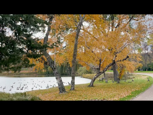 6-Minute Countdown Timer: Autumn Cemetery Drive | 4K