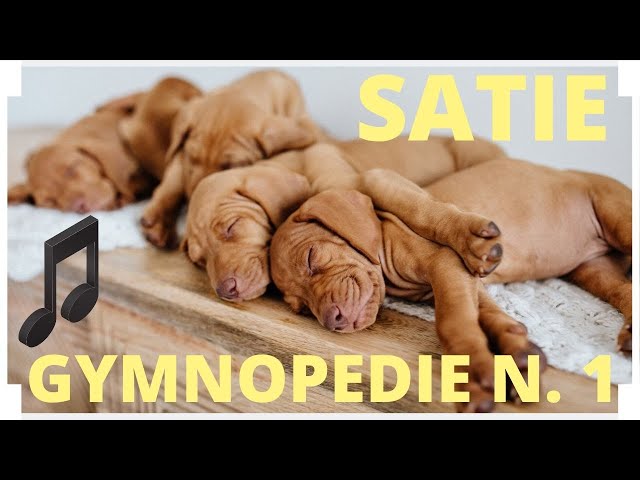 Gymnopedie N.1, Satie (Best Of Classical Music)