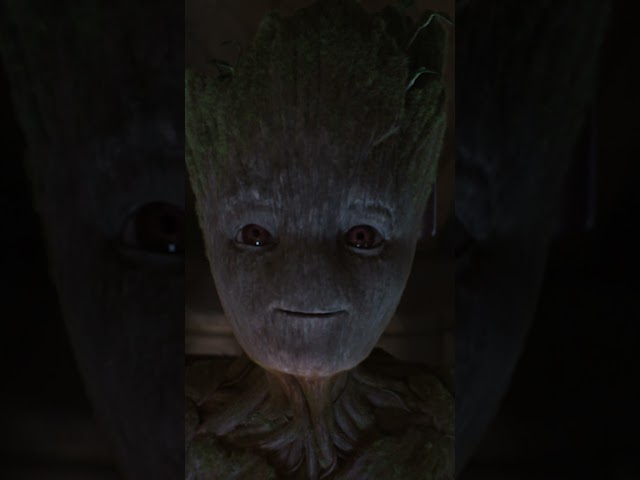 Groot Saying "I Am Groot" for 36 Seconds