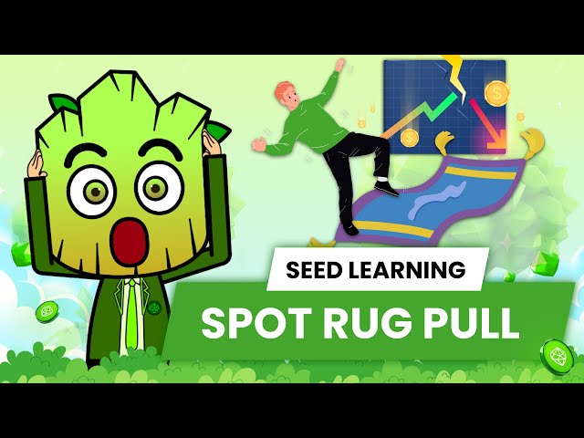 How to spot a Rug Pull? | SEED Learning #18