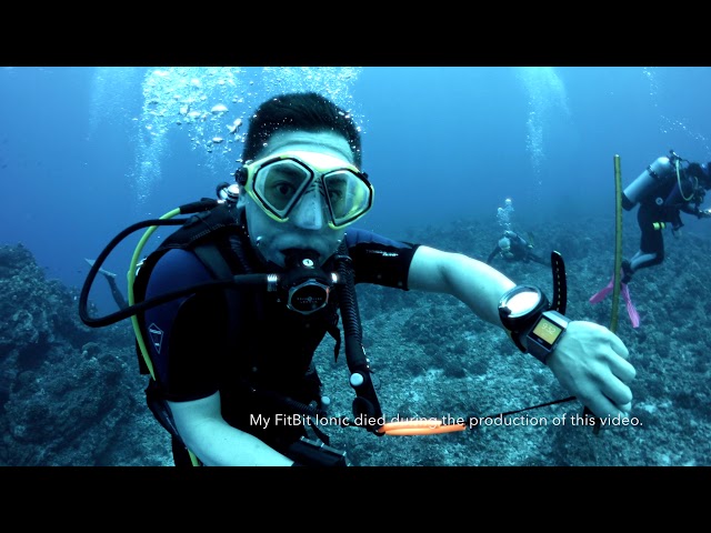 Scuba Diving with FitBit Ionic