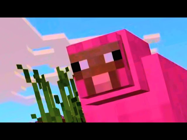 Minecraft I Found A Pink Sheep