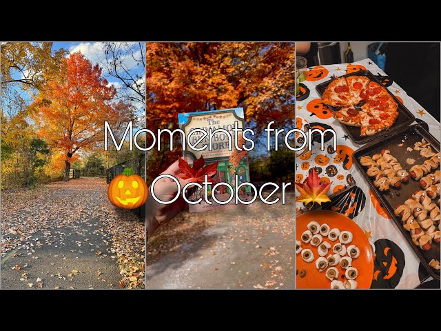 A collection of moments from our October 🍁