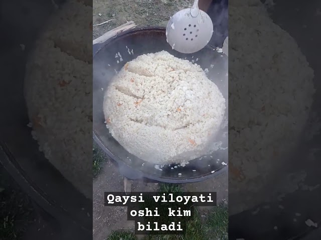 Kim qaysi viloyatdan yozigla kamentariyaga