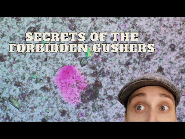 Looking At Water From Inside of Two Geodes Under a Microscope: Secrets of the Forbidden Gushers