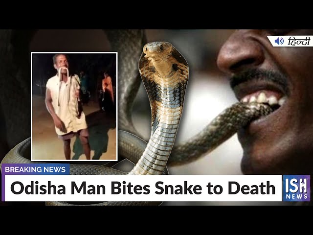 Odisha Man Bites Snake to Death