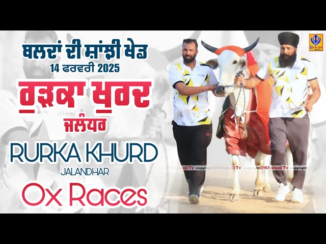 🔴[Live] Rurka Khurd | Jalandhar | ਬਲਦਾਂ ਦੀ ਸਾਂਝੀ ਖੇਡ | 14 Feb 2025 | Khalsaji Tv