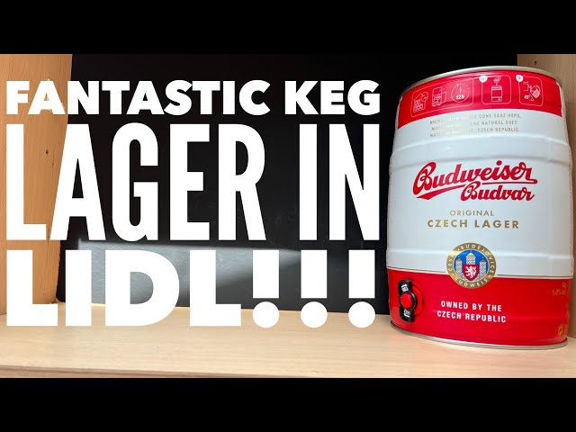 *Fantastic 5 Litre Mini Keg In Lidl* | Budweiser Budvar Czech Lager Review