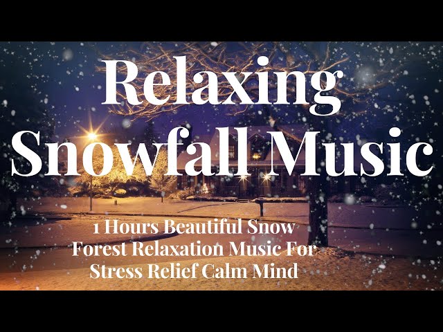 Relaxing Snowfall Music - 1 Hours Beautiful Snow Forest Relaxation Music For Stress Relief Calm Mind