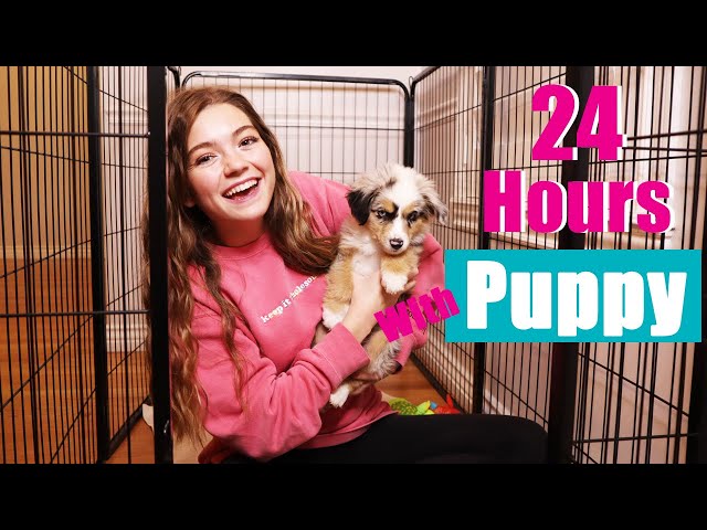 24 Hours With My New Puppy!