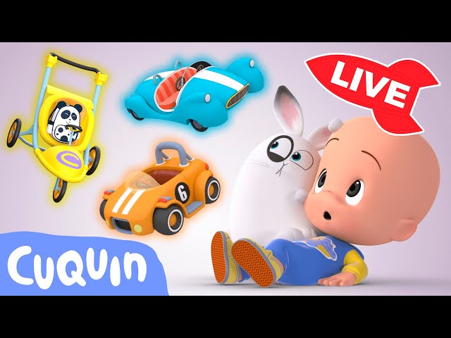 🔴 LIVE 🔴 Learn colors, numbers and shapes with Cuquín | Educational videos for kids #shorts #live