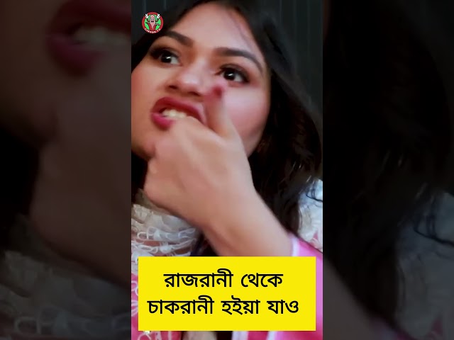 বউ যখন টিকটকার জামাই তখন !!-বাংলা নাটক। Circus Tv #banglacomady #comedy #funny #banglacomedydrama