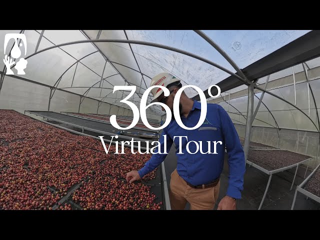 Café de Altura -Indispensable to Each Other- TYPICA's 360° Virtual Tour