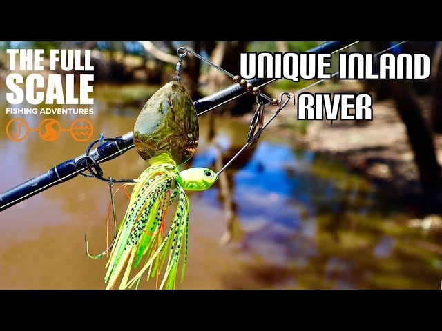 Fishing A UNIQUE Inland River | The Full Scale