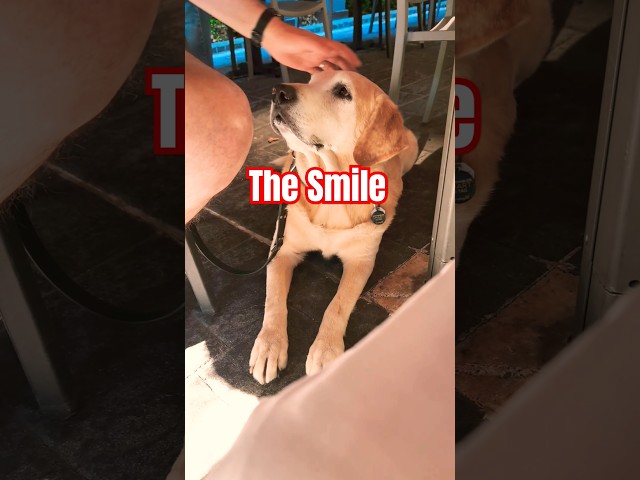 📱📹🎥📸😀OLD RAW UNEDITED AND FINALLY RELEASED  - VIDEO 1 -  THE SMILE📱📹🎥📸🌞😀