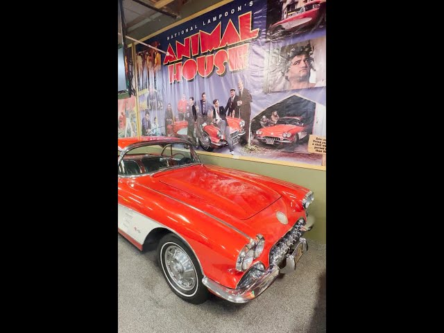 The actual Animal House Corvette, inside and out, at Volo Musuem.