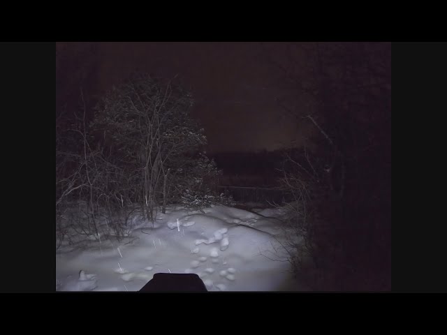 Walking at night in a supposedly haunted forest (Strange sounds)