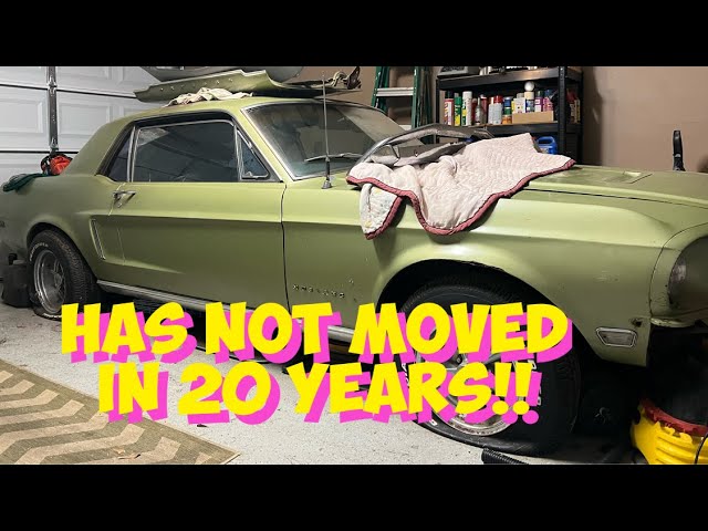 1968 Mustang Restoration Project Part 1 | Mustang first Tour