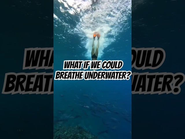 What If Humans Could Breathe Underwater? | A Deep Dive into the Future