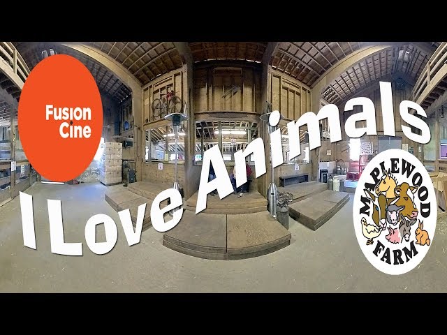 "I Love Animals" a 360 film by The Vancouver B Movie Factory