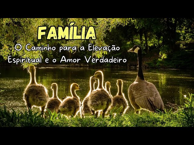 Família: O Caminho para a Elevação Espiritual e o Amor Verdadeiro