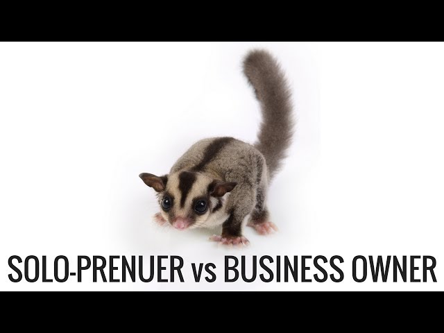 Solopreneur versus Business Owner Who is Going to Win