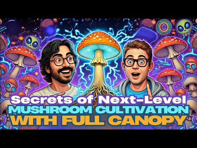 Secrets of Next-Level Mushroom Cultivation with Full Canopy 🍄 ✨The MycoGeeky Podcast