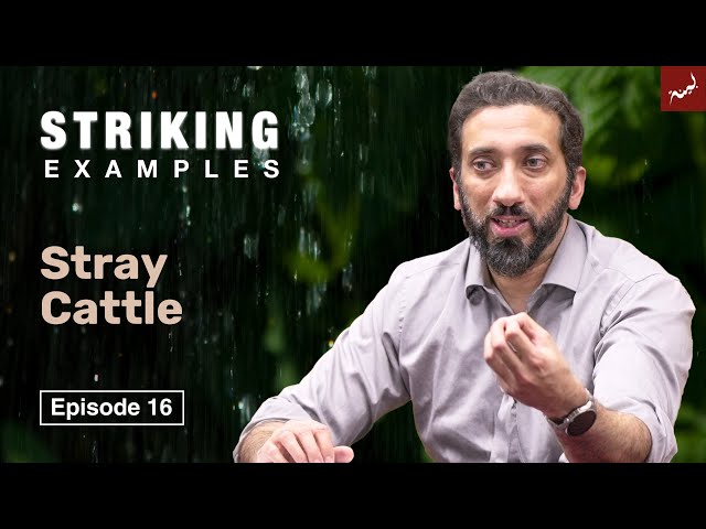 Stray Cattle | Ep. 16 | Striking Examples From The Quran | Nouman Ali Khan