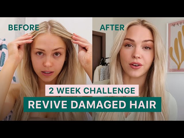 How I fixed my damaged hair in 2 weeks I COCO & EVE