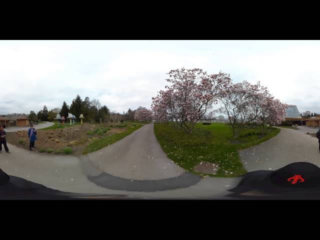 Niagara Falls Garden Walk 360 video