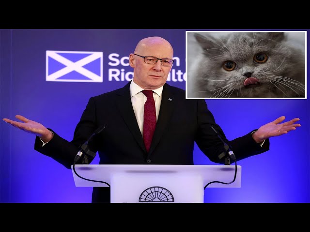 Scotland denies plans to ban cats after a commission suggests limits to protect birds.