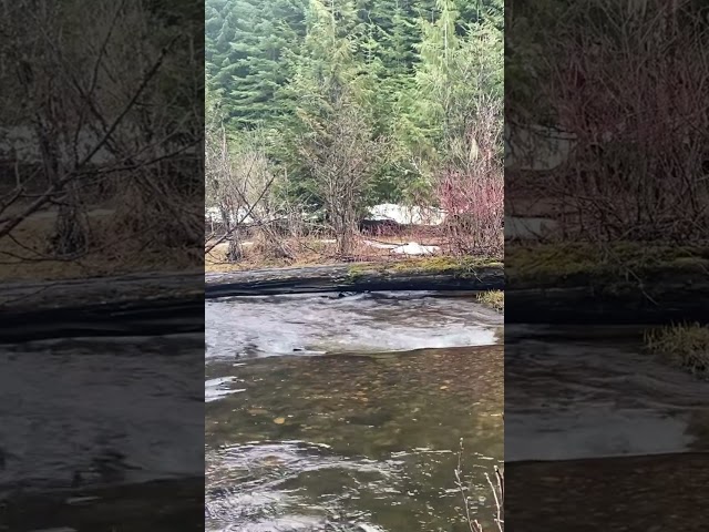 Friday Night Reflection #water #nature #creeksounds #babblingbrook #waterfall #creeksound #asmr